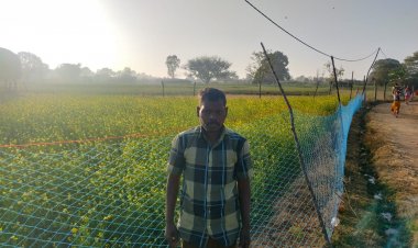 सफलता की कहानी: प्रधानमंत्री धन धान्य कृषि योजना से बदली बलदेव की तकदीर, सरसों की फसल से महका खेत