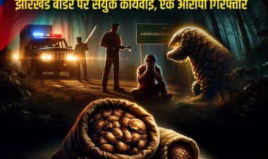 जशपुर: पैंगोलिन शल्क की तस्करी का भंडाफोड़, झारखंड सीमा पर संयुक्त कार्रवाई में एक गिरफ्तार