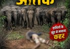 जशपुर में हाथियों का तांडव: 16 हाथियों के दल ने 75 वर्षीय बुजुर्ग को कुचला, मौके पर ही मौत