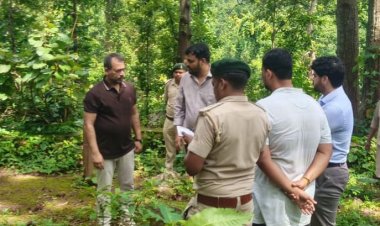 PCCF अरुण पांडे ने किया जशपुर के भैरवपहाड़ और पर्यावरण वाटिका का निरीक्षण, विकास के लिए दिए निर्देश