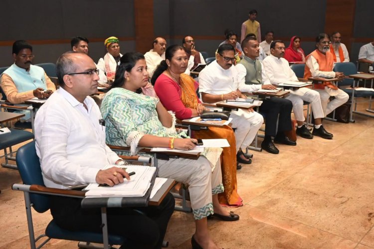 संसदीय संकुल विकास परियोजना: नई दिल्ली में उच्चस्तरीय बैठक, विधायक गोमती साय हुई शामिल