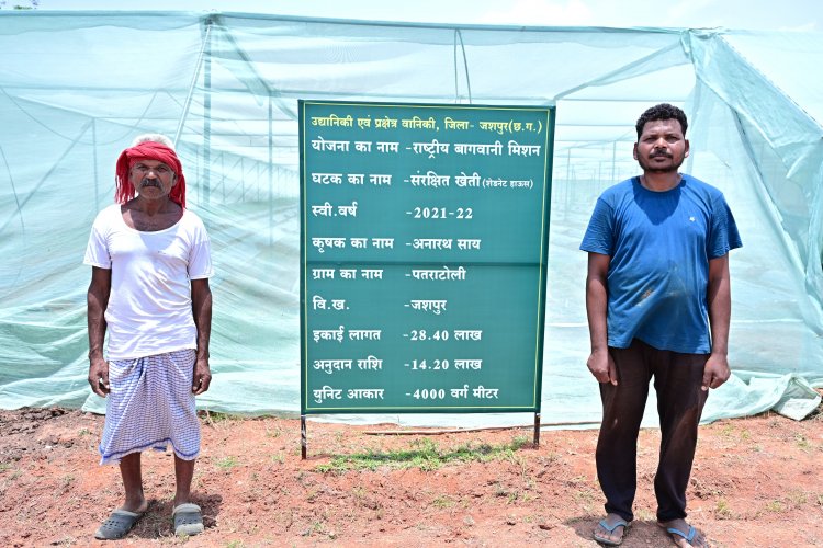 जशपुर के किसान अनारथ साय ने संरक्षित खेती से लिखी सफलता की नई इबारत, ऑयल पाम और इंटर-क्रॉपिंग से बने आर्थिक रूप से मजबूत