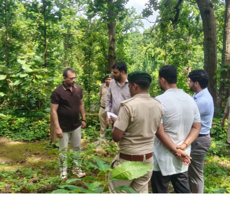 PCCF अरुण पांडे ने किया जशपुर के भैरवपहाड़ और पर्यावरण वाटिका का निरीक्षण, विकास के लिए दिए निर्देश