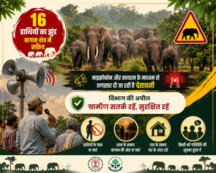 16 हाथियों का दल बगीचा क्षेत्र में सक्रिय; माइक और सायरन से दी जा रही चेतावनी, विभाग ने ग्रामीणों से की सतर्क रहने की अपील